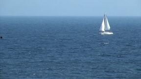 海洋最新爆料视频播放下载,最新海洋爆料视频下载解析  第1张